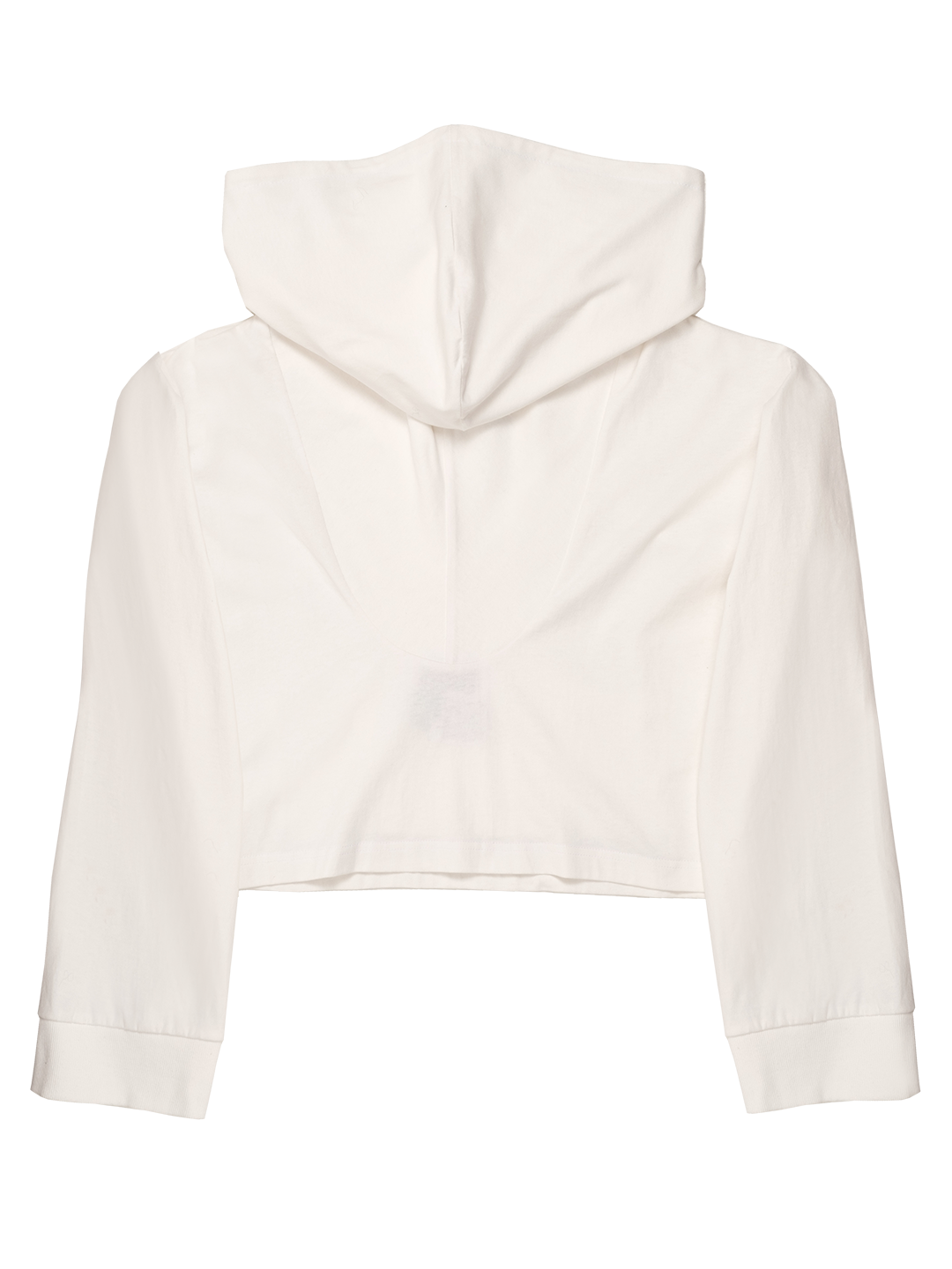 Underwear Pouch Pocket Cropped Hoodie
