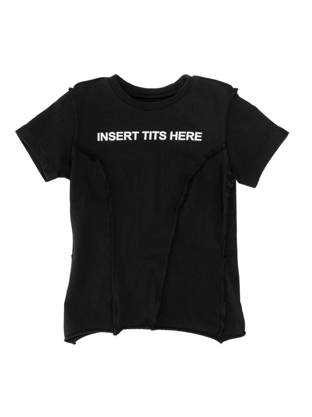 INSERT TITS HERE T-SHIRT