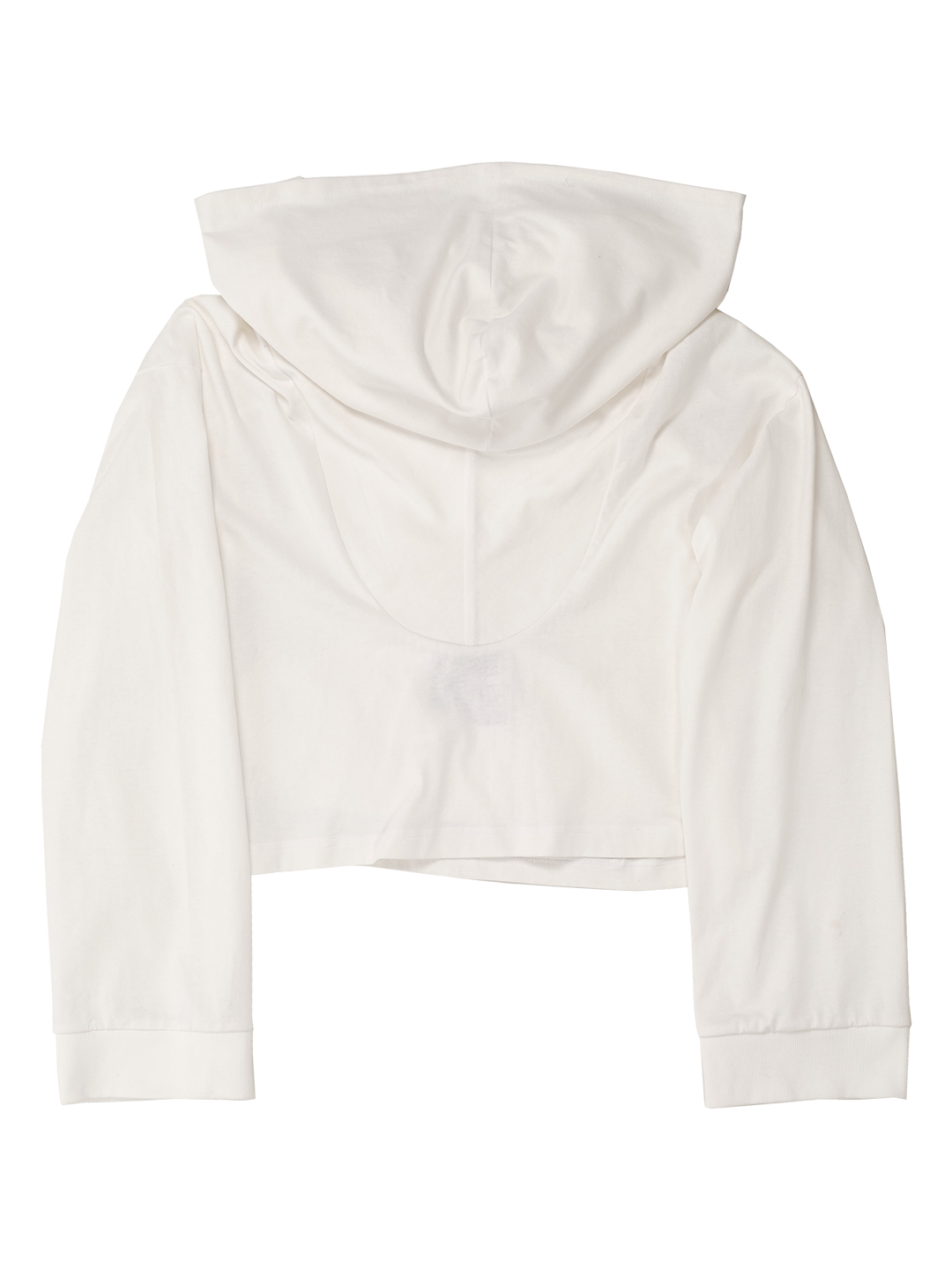 Underwear Pouch Pocket Hoodie