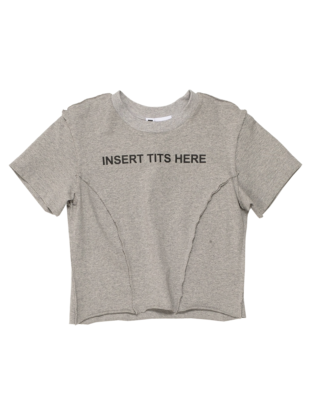 INSERT TITS HERE T-SHIRT