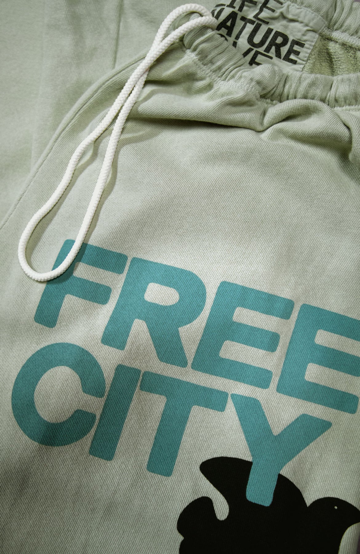 FREECITY