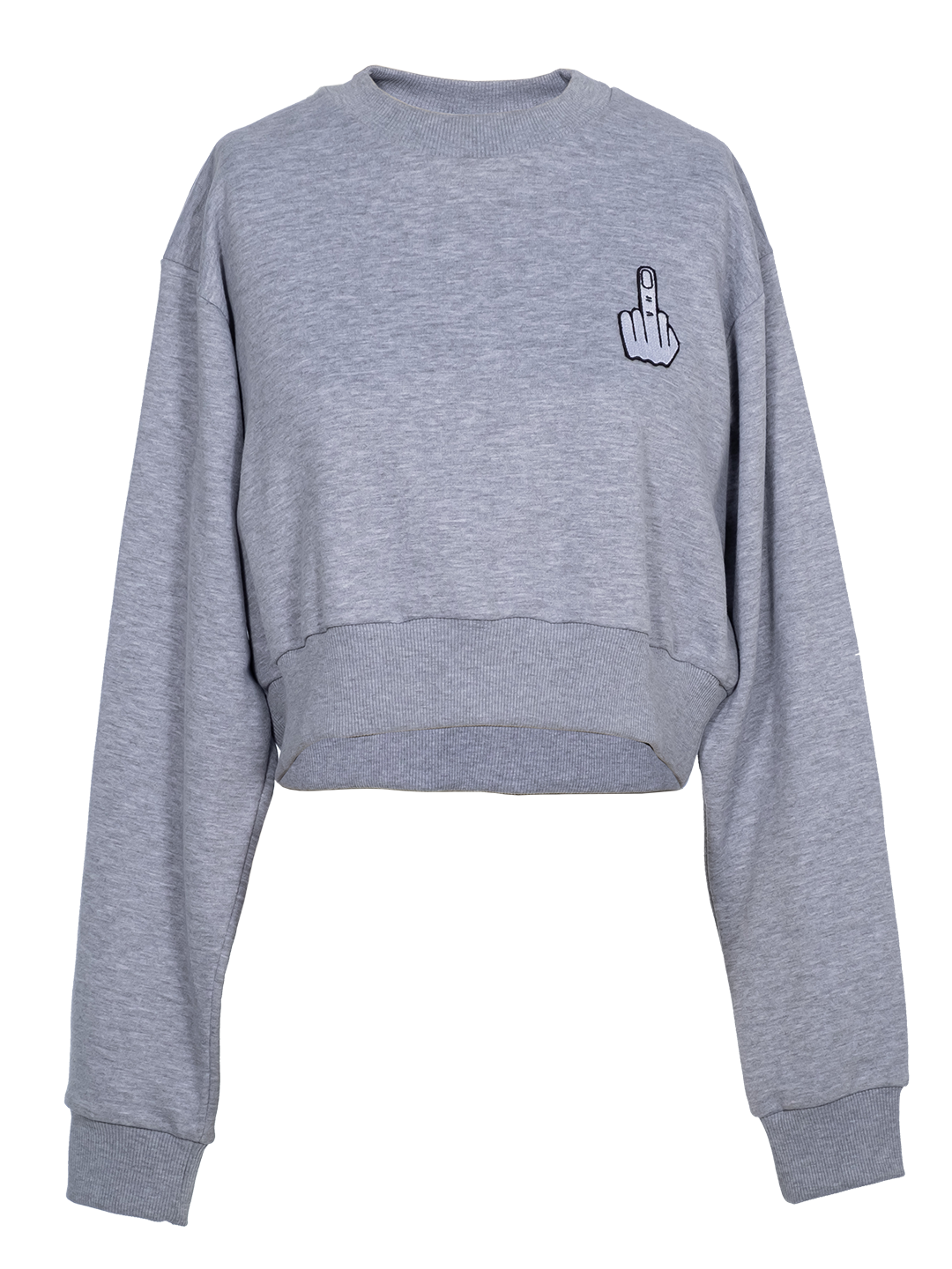 Embroidered Bat-wing Cropped Sweatshirt