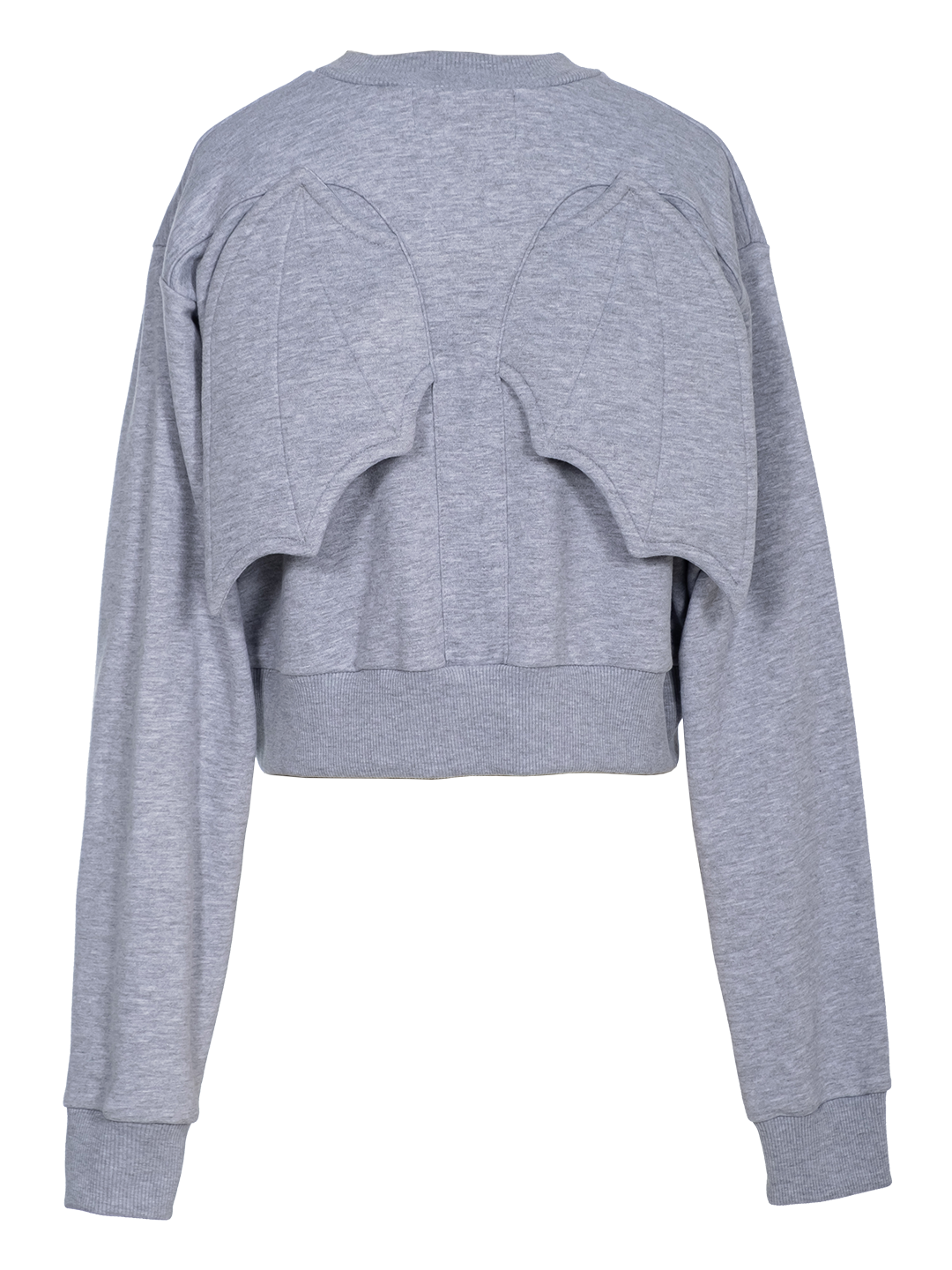 Embroidered Bat-wing Cropped Sweatshirt
