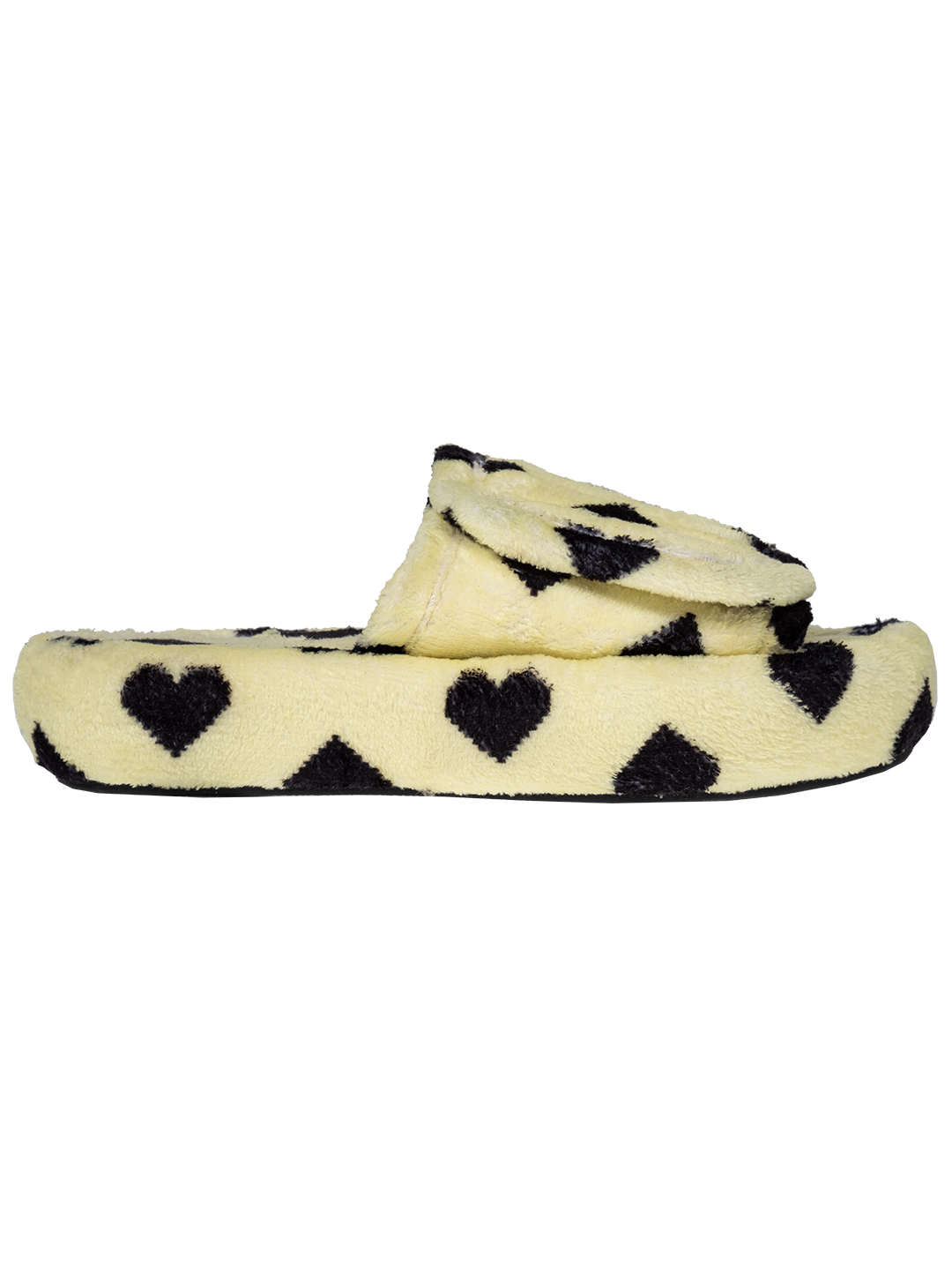 The Pixel Heart Slides.