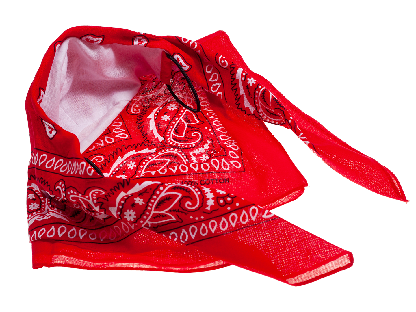 Bandana Face Mask