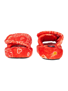 The Fire – NATASHA ZINKO